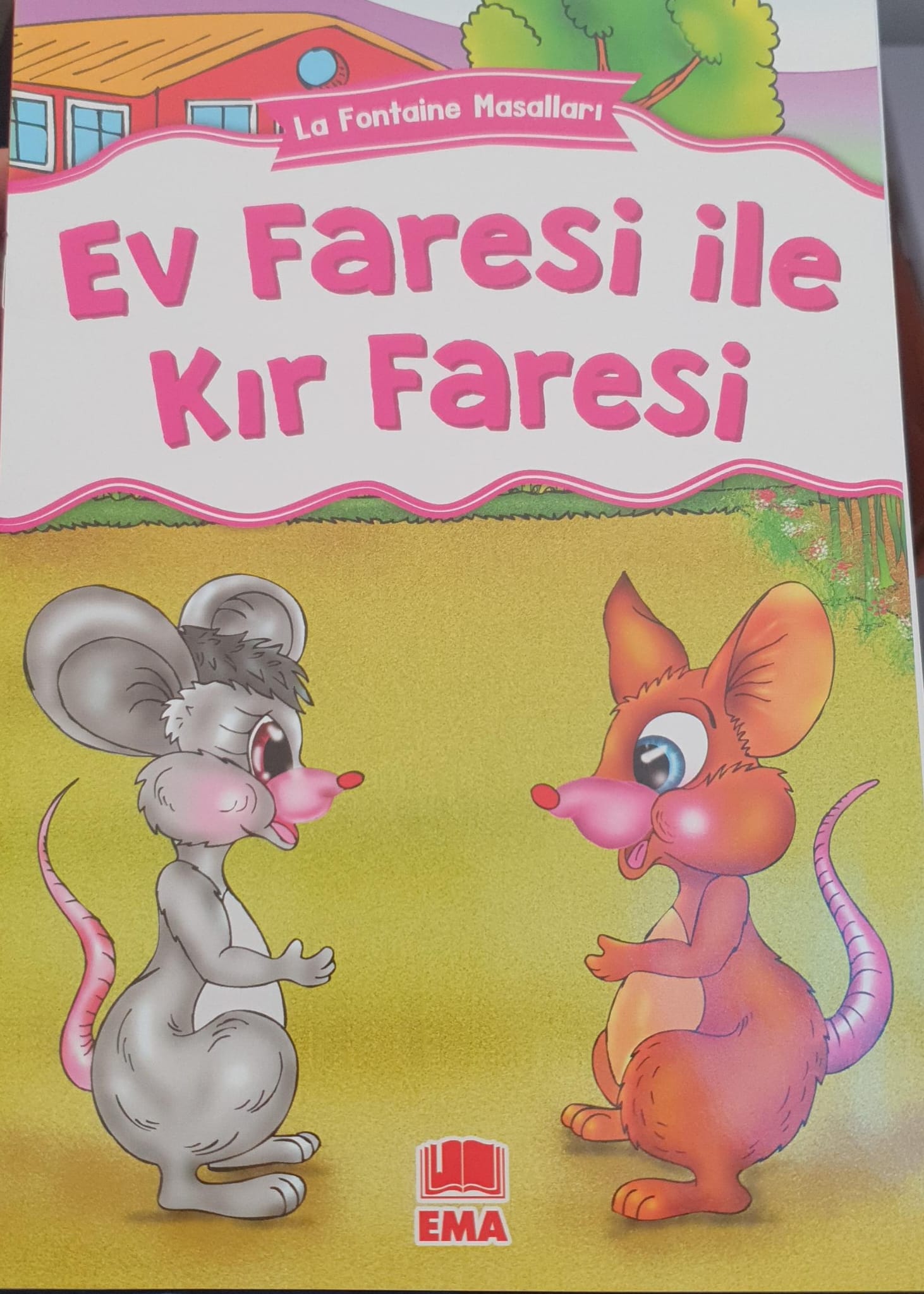 Ev Faresi İle Kır Faresi